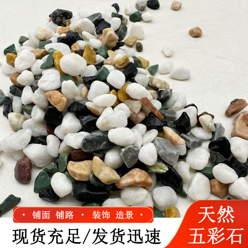 五彩石各色石子 洗米石胶粘石地坪骨料彩色透水路面
