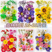 �ɻ�diy����Ѻ��ֲ��˱�DIY�ֹ�ֲ��������������ϰ���Ȼ�滨