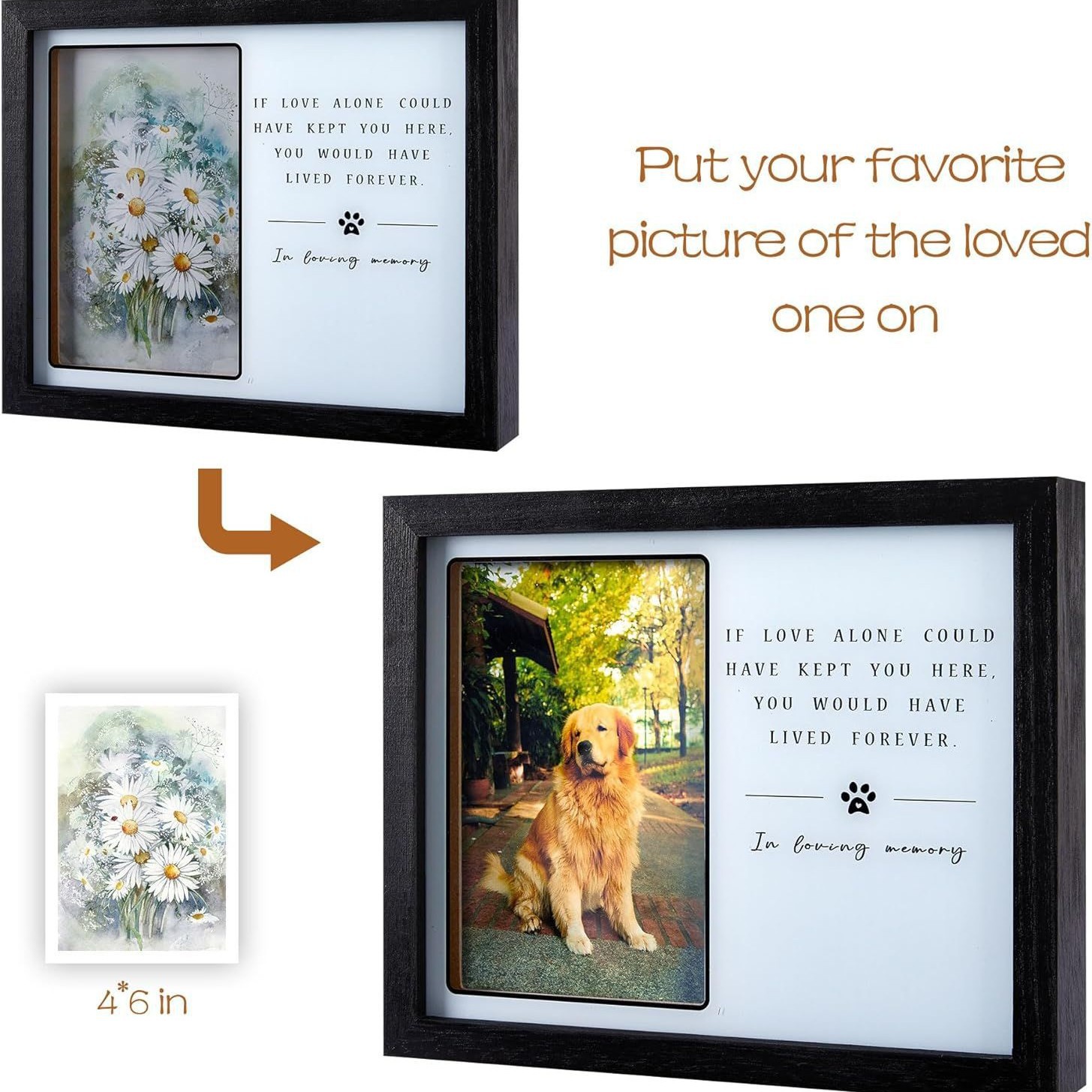 Creativo luminoso de madera para mascotas marco de fotos conmemorativo gato perro Mesa conmemorativa marco de fotos