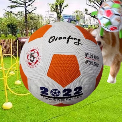 Fútbol especial para niños No.5 No.3 / 4 estudiantes primarios juveniles entrenamiento de prueba de ingreso a la escuela secundaria fabricante de fútbol