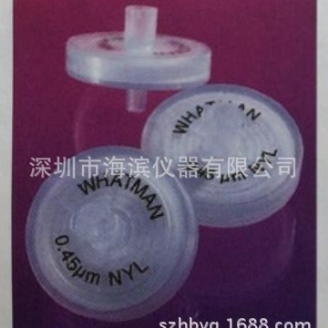 WHATMAN 针头式过滤器6874-1302  13MM  0.2UM PTFE材质