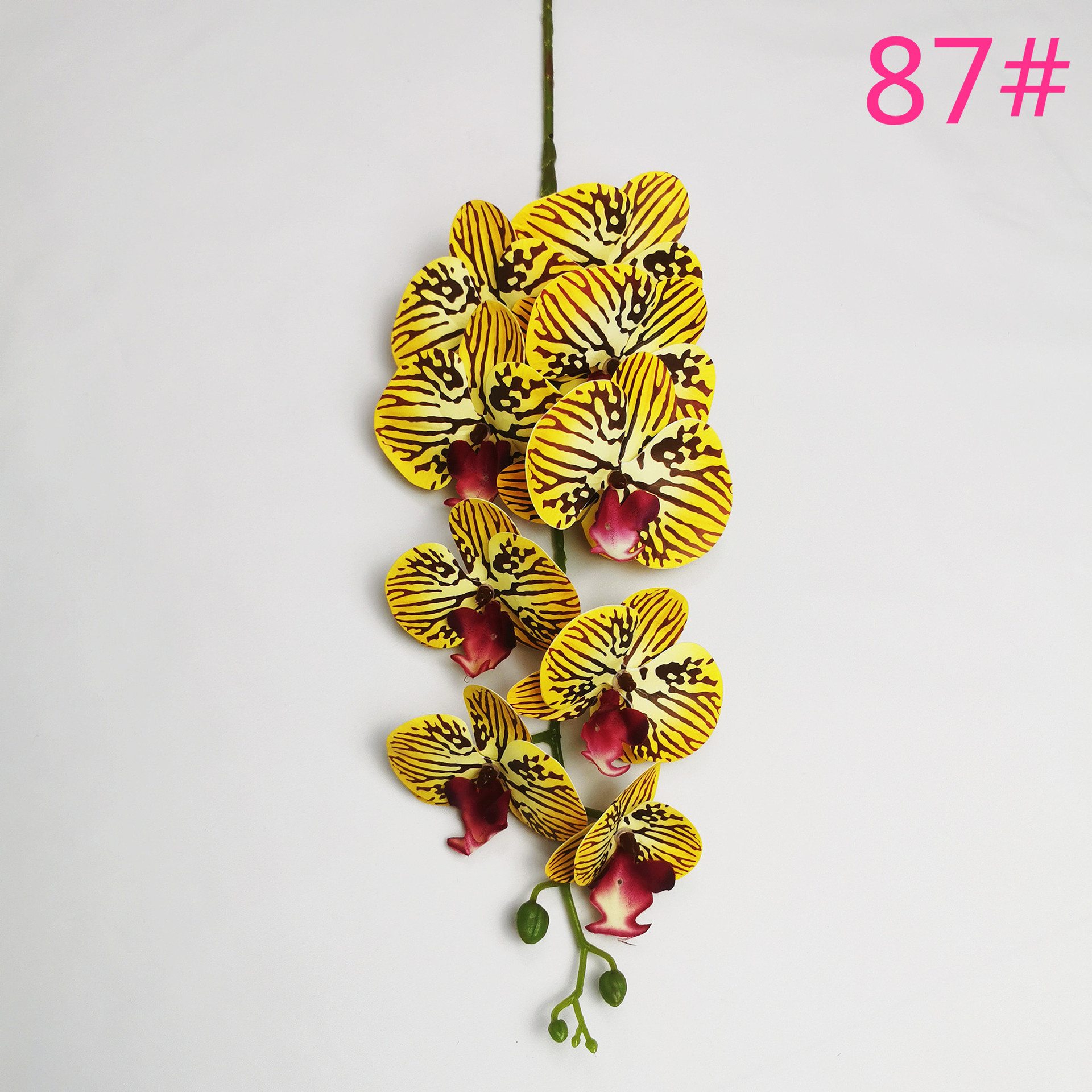 IMG_20220604_183704_副本