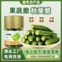 爽口办公室即食清香蔬菜干