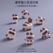 暹罗猫小豆泥卡通地摊爆款货源 微景观diy园艺配件多肉桌面小摆件