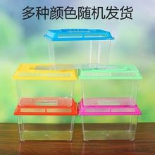 装小乌龟的盒子大中小号宠物饲养迷你金鱼缸盒塑料封闭式容量送礼