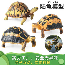 ��ͯҰ������ģ�ͷ���ݗ�������W����������X���������YƷ�[��