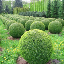 ͥԺG~ŮؑŮؑΘļͺС~Ůؑ