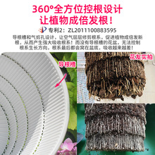 ���P���������ظ�͸���֬������ɽ���Ա��W���s����֮�M