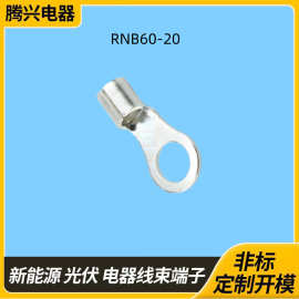 RNB60-20圆形裸端子 紫铜镀锡冷压接线端子 O型线耳铜鼻子可定制