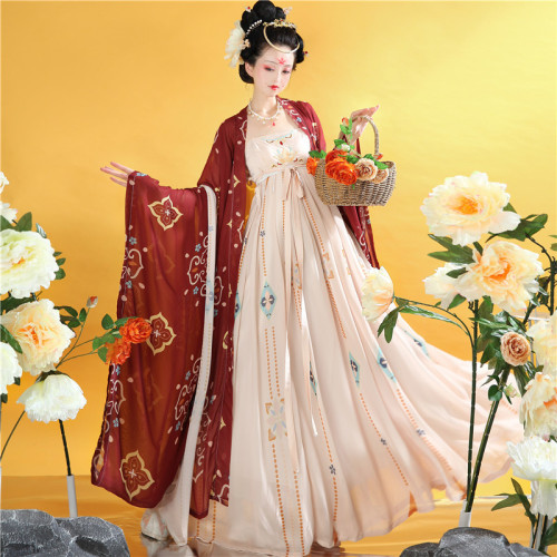 Tang Dynasty Hanfu Fairy dress for women tang hanfu female tang big sleeve embroidery myrobalan skirt unlined upper garment of autumn