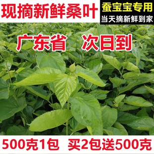 ���rɣ�~�Q�����W���B�Q����ɣ�~�����ժɣ�~���rʳ��ɣ�~ι�Q�S