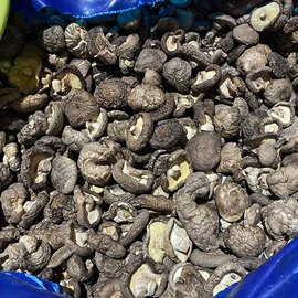 其他干货;银耳;香菇