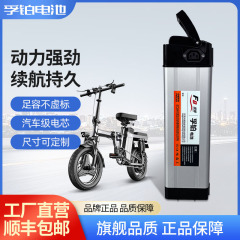 FuBo 48V 電気自動車リチウム電池 シルバーフィッシュモデル 10Ah12ah5ah20ah 長寿命電気自動車専用