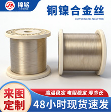定制硅胶绝缘层电阻丝精密仪器热电偶补偿导线CuNi40铜镍合金丝