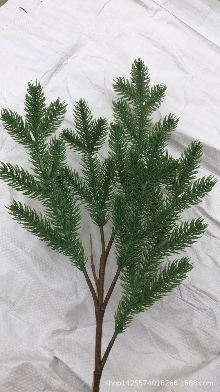 3ec9914ae46172edc63b669d2bfaa3