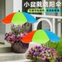 两用晴雨植物热卖太阳伞