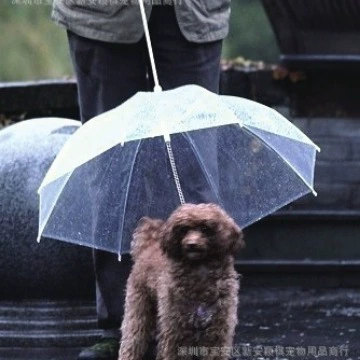 Собака любимчика Гуляя прозрачный зонтик зоотоваров Тедди VIP маленькая собака тяги зонтик цельный доставка