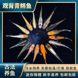 �^�����F���ͻ����I�~�ɷ����Ѳ�������ˮ��ˮ�t�����I�~ԭ������