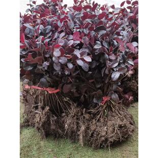 �t���^ľС�~�d�����׶�������S����N�G�hͥԺ�G��ɫ�K��������