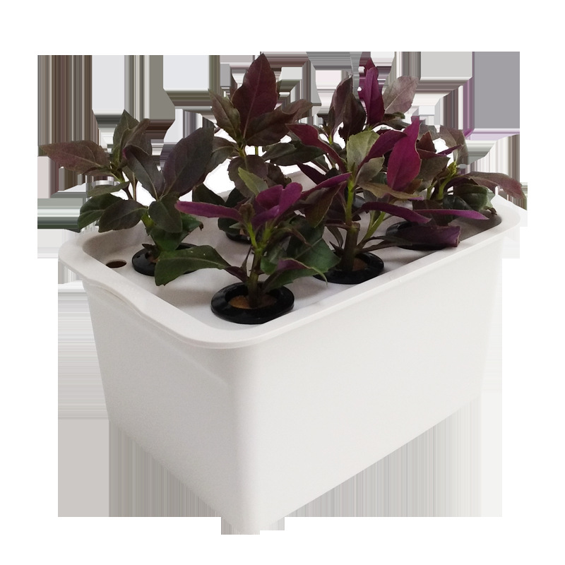 Hogar estático caja de plántulas hidropónicas balcón caja de plantación de vegetales caja de planta hidropónica caja de plantación de cultivo sin suelo