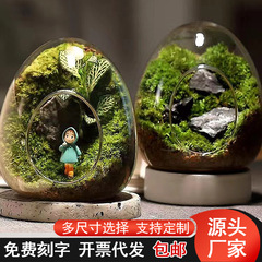 創意微景観卵形ガラス瓶多肉植物コケDIY造形瓶デスクトップ緑植置物容器カバー