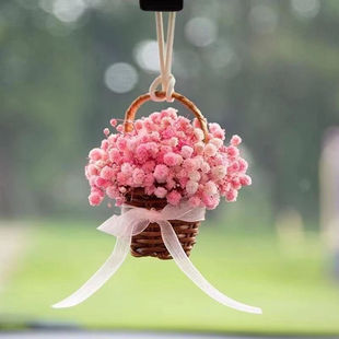 Car Pendant Girl's Senior Car Eternal Dried Flower Ginky Sky Star Flower Basket Rearview Mirror Pendant Car Interior Pendant