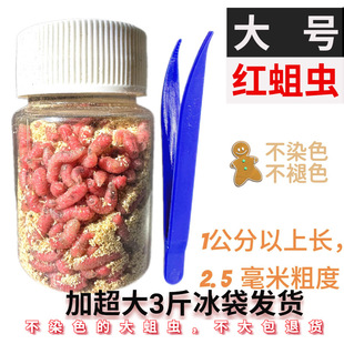 �ش�t���x���D�t�x��~�����x����x�D����Ϫ��Ұឰ����a�~