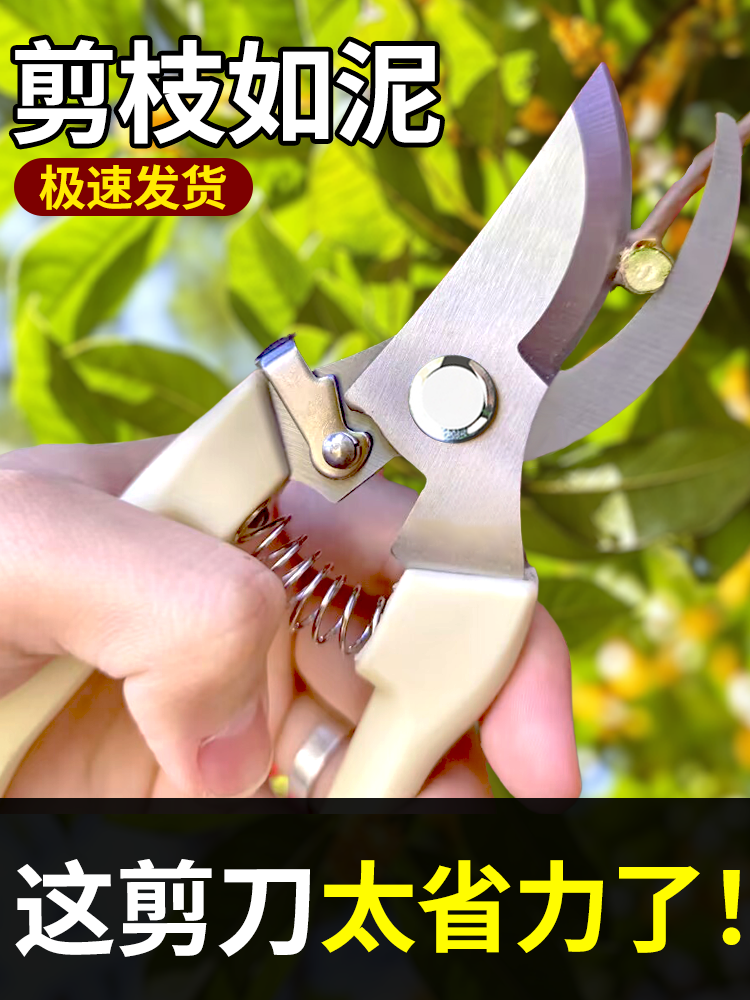 剪树枝剪刀花剪园艺园林修枝园丁剪嫁接采摘省力修水果树