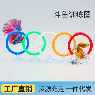 �羳���l̩�����~Ӗ��Ȧ�����h���~չβ�������Ӷ��~���Ӗ��Ȧ