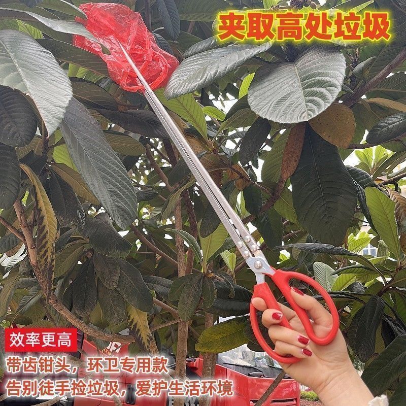 3afed1f9-8d6e-449b-b1a5-f0ead943a4bb.jpe