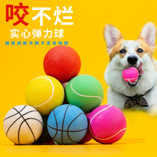 Pet Toy Ball Wholesale Teeth Resistant Solid Ball Teddy Golden Retriever Training Interactive Basketball Softball Dog Toy