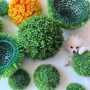 ����ֲ�������Ȼ�Ғ�ٲ����ϴ����������m�b������;Gֲ���