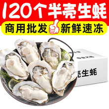 120�����뚤������ʳ�ĺ��r�󿧰뚤ĵϠ���ϾƵ��������