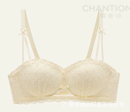 Ropa interior japonesa con top de tubo sin anillo de acero, encaje recogido, modelos delgados de niña, dos tipos de sujetadores franceses, senos pequeños, grandes