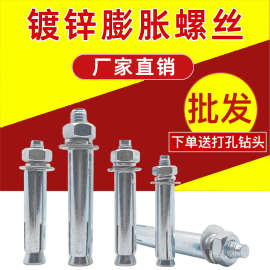 厂家直销镀锌国标膨胀螺丝整箱加长膨胀螺栓M6M8M10M12M14M16-M20