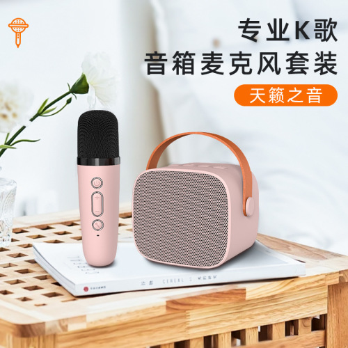 P2 portable mini wireless microphone integrated Bluetooth audio outdoor karaoke home microphone set cross-border special