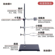 太保铁架台实验室十字夹夹子铁圈配件蝴蝶夹大号微型不锈钢麦太保