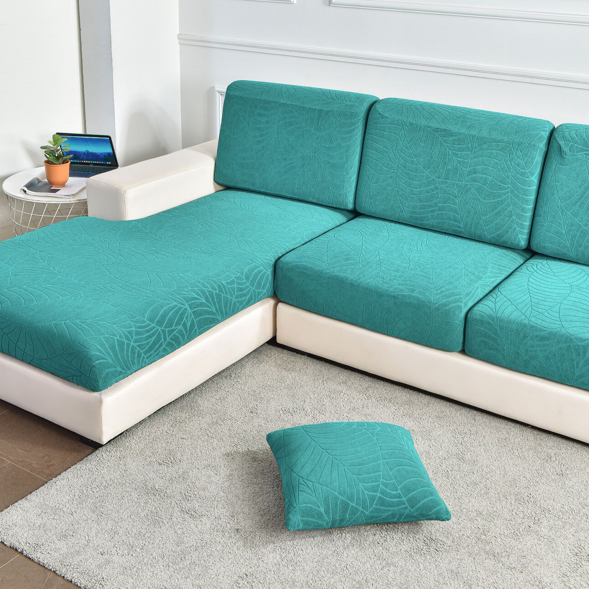 DSC_8548立派摄影 (4).jpg