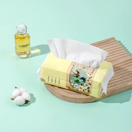 围嘴围兜;一次性马桶垫;其他生活用纸