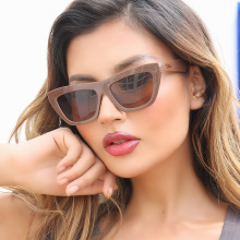 �����q��¿�W���r�з���̫��R���Գ�������R�����⾀ī�R5613