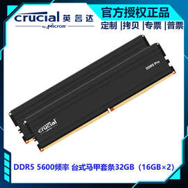 英睿达5 5600频率台式马甲套条32  电竞条16×2