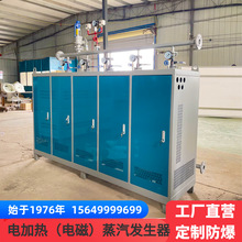 高压电蒸汽锅炉商用服装熨烫蒸汽锅炉全自动电蒸汽发生器热水锅炉