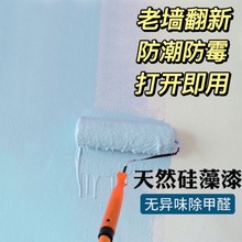 牆漆藝術漆室內乳膠漆家用自刷硅藻泥牆面翻新白色彩色獨立站代發