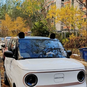 Avtomobil damı dekorativ qulaqları, Mickey qulaqları, avtomobil eksteryeri