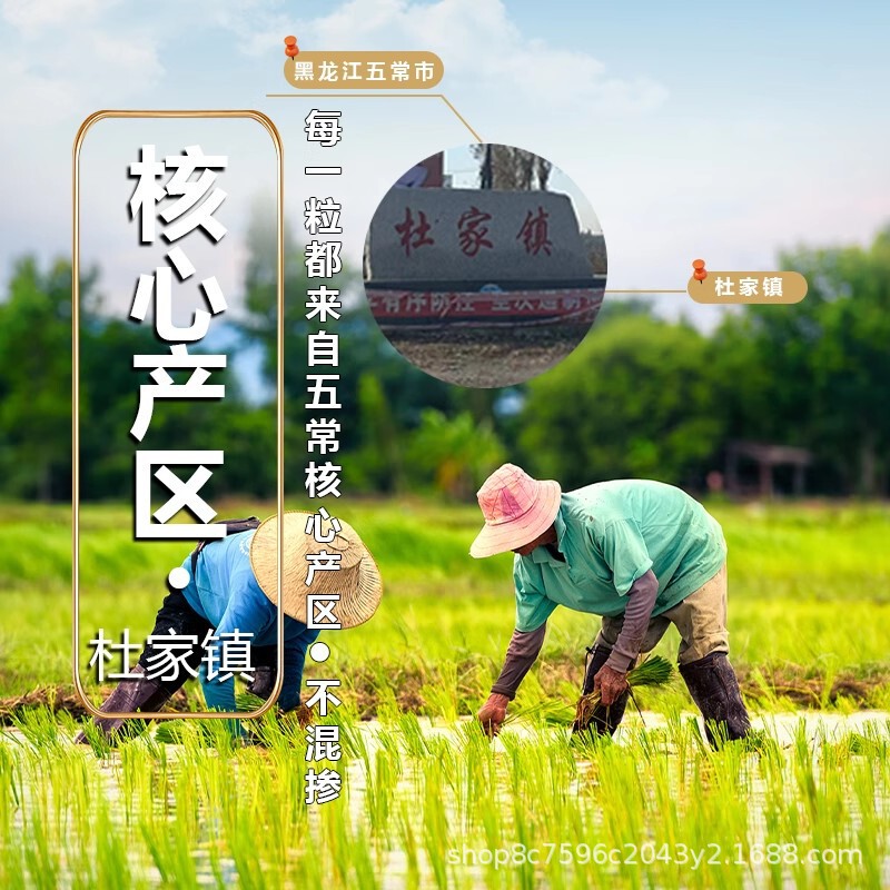 家有农场2025年新米现磨五常大米长粒香米10斤东北2.5kg真空生态|undefined