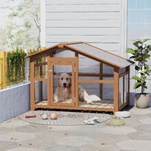 ������͸���幷�\�����҃ȹ��C��С��Ȯ�e�����������ļ�����C