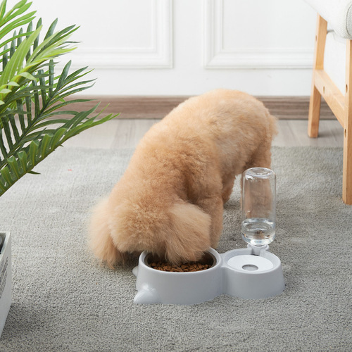 Dog Bowl Stainless Steel Pet Bowl Dual Bowl British Shorthair Cat Bowl Automatic Water Feeder and Feeder Combo No Wet Lips Prevent Black Mustache