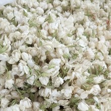 广西南宁横州市茉莉花产地直销，茉莉花鲜花烘干（微开）