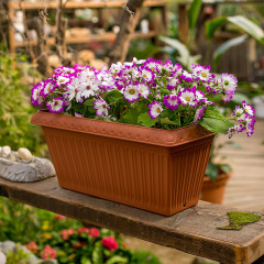 愛麗思花盆樹脂塑料浮雕長方形花盆多肉歐月種花種菜盆長條花盆