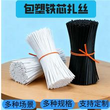 厂家直销PE铁芯扎带 包胶铁线 粘虫板扎带 园林绿色镀锌包塑扎丝